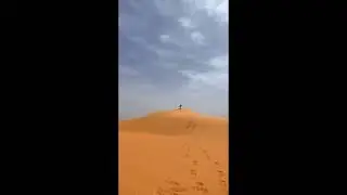 Социальное послание, представленное участниками конкурса 