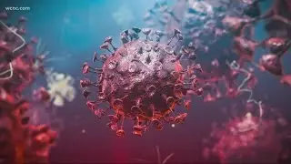 Why is COVID-19 more dangerous than the flu? We asked doctors.