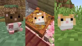 Adorable Hamster Pets, mod, Minecraft Mod (Showcase 1.20.1)