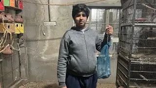 Ya pair hamain bohat mehnga par gaya 