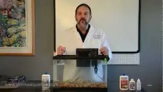 Как создать новый аквариум — Цикл без рыб — Водные процедуры DrTim's