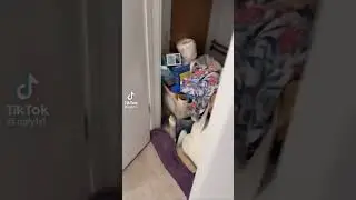 How to get a bat out of your house...or not