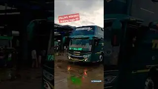 PALING REKOM DI RUTE MALANG JOGJA🔥🔥 Bus Tividi #fyi #fyp #tividi #bus #information