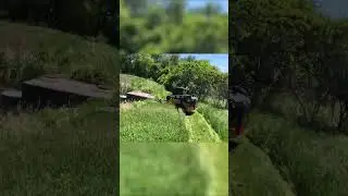 Extreme Yard Cleanup: Transforming an Overgrown Garden in Minutes.