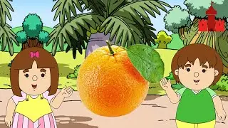 Mengenal Buah Jeruk| Puri Animation