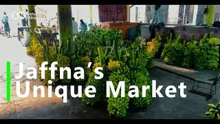 Jaffna’s Traditional Market | A Unique Northern Experience 🥕🥬