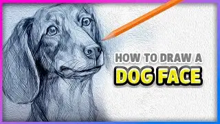 How to Draw a Realistic Dog Face with Pencil 🐶 | Easy Drawing Tutorial for Beginners