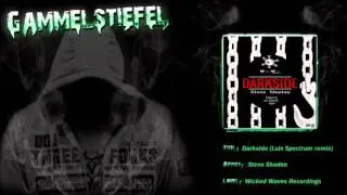 Steve Shaden - Darkside (Luix Spectrum remix)