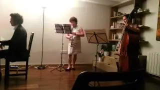 Bottesini duet for clarinet and doublebass 1st