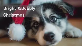 [Today's playlist]Fun Christmas Playlist_Bright Holiday Songs to Lift Your Mood