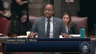Senator Myrie on Slavery Reparations Bill