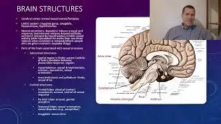 PSYCHOLOGY OF SEXUALITY: SEXUAL AROUSAL AND RESPONSE