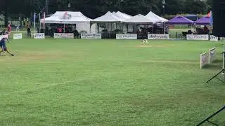 Jack Fahle and Spice 2018 Skyhoundz Microdog World Finals