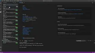 Visual Studio Code 한글팩설치