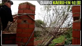 La borrasca tira un &aacute;rbol de la Escuela de Bonsai