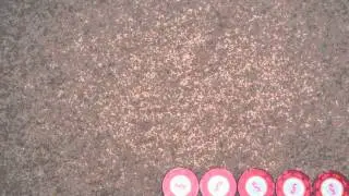 Fun with Poker Chips