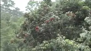 Bakti Alam Agro Wisata - Pasuruan - East Java