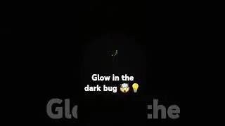 ok crazy! #shortsfeed #shorts #short #youtube #youtuber #subscribe #sub #crazy #omg #bug #wow #never