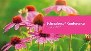 How does A.Vogel Echinaforce&reg; work?