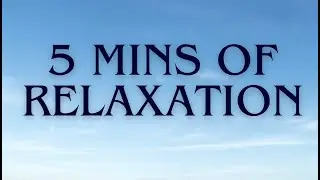 5 Minutes of Relaxation Vibes! Calm Your Mind, Reduce Stress & Reset #vibewars