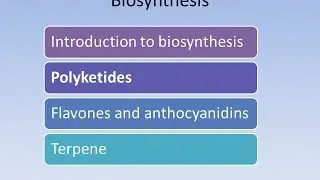 bio synthesis english Polyketides and mono-terpene and natural products