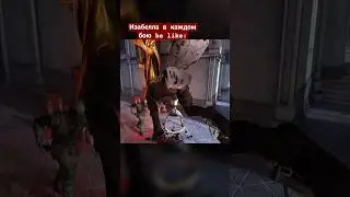Лучший напарник в Dragon age 2 #игры #кооперативныеигры #юмор #memes