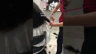 Cortando o cabelinho #decepcaoamorosa #ciriloemariajoaquina #cortandoocabelo #cortebutterfly #cabelo