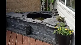 How to Build a Deck Pond for Medaka and Neocaridina Shrimp