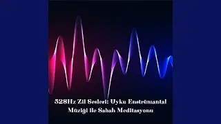 Yüksek Beta Frekansı