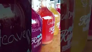 &ldquo;Start Here Before You Brew Anything&rdquo;