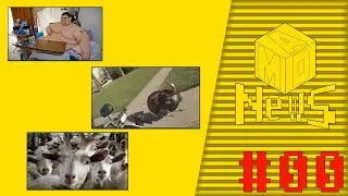 Толстяк-Рекордсмен, Индейка Мститель и Козлиная Банда ► M.a.D. News ► #00