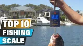 Best Fishing Scales In 2025 - Top 10 Fishing Scale Review