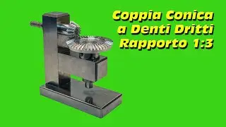 Coppia Conica a Denti Dritti Rapporto 1:3 #169