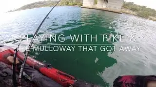Playing With Pike And The Mulloway That Got Away. Currumbin Creek On Dragon Kayak