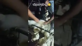 छोड़कर चले गये #contractpoultryfarming