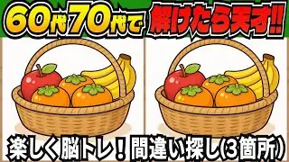 【脳トレ間違い探しクイズ】短時間で老化予防に！記憶力・集中力を鍛える無料の脳トレ！高齢者向けの間違い探しで目指せ脳年齢20代！DAY284【高齢者 頭の体操 難しい】