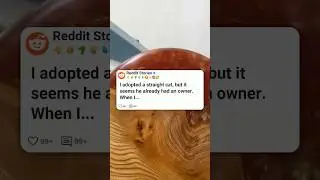 I adopted a stray cat, but ir adema he already had an owner 😭  #reddit