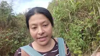 Trekking to Majestic Kapamodzu in Nagaland, India/ A must visit place on earth/ Got stuck in traffic