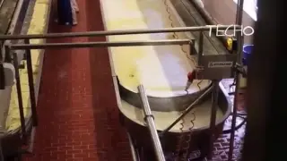 Crazy food processing machine 2017 | Mozzarella and Milk Processing