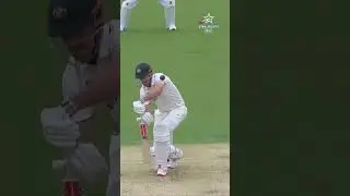 Wrong umpire decision | #cricket #cricketinternational #trending #trendingshort  #umpire