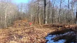 2smoker vs 4stroke