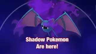 Team Rocket And Shadow Pok&eacute;mon!