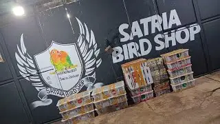 Update stock di satria bird shop hari sabtu 3 Januari 2026