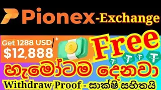 Pionex Exchange Sinhala | 1288$/12888$ Free Bonus | How to make money online Sinhala | WwCf #WwCf