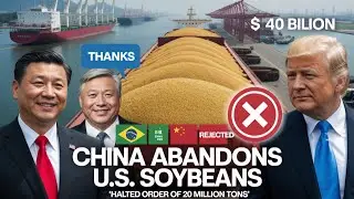 America&rsquo;s $12 Billion Soybean Crunch: How China Shifted to Brazil Overnight