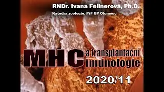 IMUNO PřF MHC a transplant imunologie