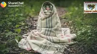Thand ki maar