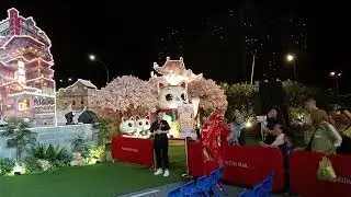 Majestic Chinese Acrobat (Changing Facial Expressions)