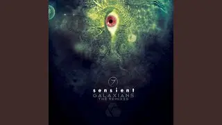 Galaxians (Mr. Bill & Tha Fruitbat Remix)
