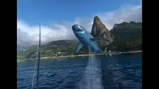 Real VR Fishing Tiger Shark 虎鯊 Oculus Quest 2